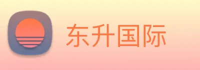 东升国际 logo